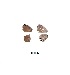  ( - KBGPB85)  @11 [ ] CreativeCommons - Attribution Non-Commercial Share-Alike (2017) Unspecified he Lepidopterists Society of Africa