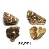  ( - KBGPB255)  @11 [ ] CreativeCommons - Attribution Non-Commercial Share-Alike (2017) Unspecified he Lepidopterists Society of Africa