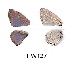  ( - KBGPB218)  @11 [ ] CreativeCommons - Attribution Non-Commercial Share-Alike (2017) Unspecified he Lepidopterists Society of Africa