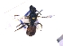  ( - KBGPE23)  @11 [ ] CreativeCommons - Attribution Non-Commercial Share-Alike (2018) Unspecified Agriculatural Research Council