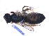  (Allodapula dichroa - KBGPE113)  @11 [ ] CreativeCommons - Attribution Non-Commercial Share-Alike (2018) Unspecified Agriculatural Research Council