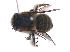  ( - KBGPE43)  @11 [ ] CreativeCommons - Attribution Non-Commercial Share-Alike (2018) Unspecified Agriculatural Research Council
