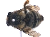  ( - KBGPE45)  @11 [ ] CreativeCommons - Attribution Non-Commercial Share-Alike (2018) Unspecified Agriculatural Research Council