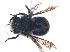  ( - KBGPE218)  @11 [ ] CreativeCommons - Attribution Non-Commercial Share-Alike (2018) Unspecified Agriculatural Research Council
