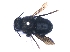  ( - KBGPE234)  @11 [ ] CreativeCommons - Attribution Non-Commercial Share-Alike (2018) Unspecified Agriculatural Research Council