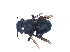  ( - KBGPE235)  @11 [ ] CreativeCommons - Attribution Non-Commercial Share-Alike (2018) Unspecified Agriculatural Research Council