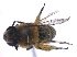  ( - KBGPE74)  @11 [ ] CreativeCommons - Attribution Non-Commercial Share-Alike (2018) Unspecified Agriculatural Research Council