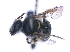  ( - KBGPE88)  @11 [ ] CreativeCommons - Attribution Non-Commercial Share-Alike (2018) Unspecified Agriculatural Research Council