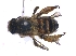  ( - KBGPE86)  @11 [ ] CreativeCommons - Attribution Non-Commercial Share-Alike (2018) Unspecified Agriculatural Research Council