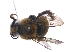  ( - KBGPE70)  @11 [ ] CreativeCommons - Attribution Non-Commercial Share-Alike (2018) Unspecified Agriculatural Research Council