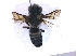  ( - KBGPE94)  @11 [ ] CreativeCommons - Attribution Non-Commercial Share-Alike (2018) Unspecified Agriculatural Research Council