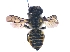  ( - KBGPE98)  @11 [ ] CreativeCommons - Attribution Non-Commercial Share-Alike (2018) Unspecified Agriculatural Research Council