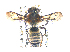  ( - KBGPE10)  @11 [ ] CreativeCommons - Attribution Non-Commercial Share-Alike (2017) Unspecified Agriculatural Research Council