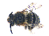  ( - KBGPE3)  @11 [ ] CreativeCommons - Attribution Non-Commercial Share-Alike (2017) Unspecified Agriculatural Research Council