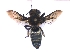  ( - KBGPE162)  @11 [ ] CreativeCommons - Attribution Non-Commercial Share-Alike (2018) Unspecified Agriculatural Research Council