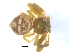  ( - KBGPS24)  @11 [ ] CreativeCommons - Attribution Non-Commercial Share-Alike (2018) Unspecified National Collection of Arachnida (NCA)