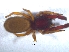  ( - KBGPS73)  @11 [ ] CreativeCommons - Attribution Non-Commercial Share-Alike (2018) Unspecified National Collection of Arachnida (NCA)
