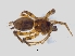  ( - KBGPS58)  @11 [ ] CreativeCommons - Attribution Non-Commercial Share-Alike (2018) Unspecified National Collection of Arachnida (NCA)