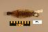  (Ixobrychus minutus - UWBM 56481)  @14 [ ] Copyright (2008) Unspecified Burke Museum of Natural History and Culture