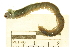 ( - 11BIOAK-1030)  @13 [ ] CreativeCommons - Attribution (2011) CBG Photography Group Centre for Biodiversity Genomics