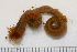  ( - 11BIOAK-1398)  @13 [ ] CreativeCommons - Attribution (2011) BOLD Centre for Biodiversity Genomics
