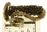  ( - 11BIOAK-1582)  @13 [ ] CreativeCommons - Attribution (2011) CBG Photography Group Centre for Biodiversity Genomics