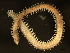  ( - 11BIOAK-1120)  @14 [ ] CreativeCommons - Attribution (2011) CBG Photography Group Centre for Biodiversity Genomics