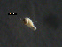  ( - 11BIOAK-1678)  @12 [ ] CreativeCommons - Attribution (2011) Christy Carr Centre for Biodiversity Genomics
