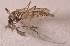  ( - 20974_CxpoiB12)  @13 [ ] Copyright (2013) Yvonne U Ajamma icipe