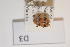  ( - 13323-LefiD03)  @11 [ ] Copyright (2012) Fabian Haas icipe