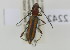  ( - NMK-ENTO 2242)  @11 [ ] Unspecified (default): All Rights Reserved  Unspecified Unspecified