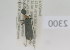  (Epicauta wastermanni - NMK-ENTO 2300)  @11 [ ] Unspecified (default): All Rights Reserved  Unspecified Unspecified