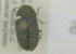  ( - NMK-ENTO 2316)  @11 [ ] Unspecified (default): All Rights Reserved  Unspecified Unspecified