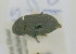  ( - NMK-ENTO 2317)  @11 [ ] Unspecified (default): All Rights Reserved  Unspecified Unspecified