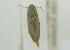  ( - NMK-ENTO 2374)  @11 [ ] Unspecified (default): All Rights Reserved  Unspecified Unspecified
