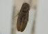  ( - NMK-ENTO 2375)  @11 [ ] Unspecified (default): All Rights Reserved  Unspecified Unspecified