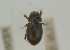  ( - NMK-ENTO 2589)  @11 [ ] Unspecified (default): All Rights Reserved  Unspecified Unspecified