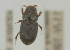  ( - NMK-ENTO 2592)  @11 [ ] Unspecified (default): All Rights Reserved  Unspecified Unspecified