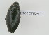  ( - NMK-ENTO 2632)  @11 [ ] Unspecified (default): All Rights Reserved  Unspecified Unspecified