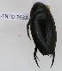  ( - NMK-ENTO 2633)  @11 [ ] Unspecified (default): All Rights Reserved  Unspecified Unspecified