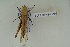  ( - NMK-ENTO 2492)  @11 [ ] Unspecified (default): All Rights Reserved  Unspecified Unspecified