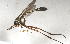  ( - 13761-SystropB9)  @11 [ ] Copyright (2011) RS Copeland Unspecified