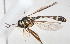  ( - 13761-SystropB9)  @11 [ ] Copyright (2011) RS Copeland Unspecified