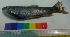  ( - WAK3)  @12 [ ] Copyright (2014) PHCDBS Paul Hebert Centre for DNA Barcoding and Biodiversity Studies