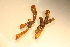  ( - MLI-002)  @11 [ ] Unspecified (default): All Rights Reserved  Unspecified Unspecified