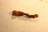  ( - MLI-015)  @11 [ ] Unspecified (default): All Rights Reserved  Unspecified Unspecified