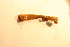  ( - MLI-016)  @11 [ ] Unspecified (default): All Rights Reserved  Unspecified Unspecified
