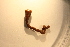  ( - MLI-025)  @11 [ ] Unspecified (default): All Rights Reserved  Unspecified Unspecified