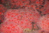  ( - BIOUG-KMH-020)  @13 [ ] Unspecified (default): All Rights Reserved  Unspecified Unspecified