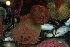  ( - BIOUG-KMH108)  @11 [ ] Unspecified (default): All Rights Reserved  Unspecified Unspecified